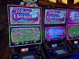 casinobonus Abre tu cuenta y explora el lobby completo